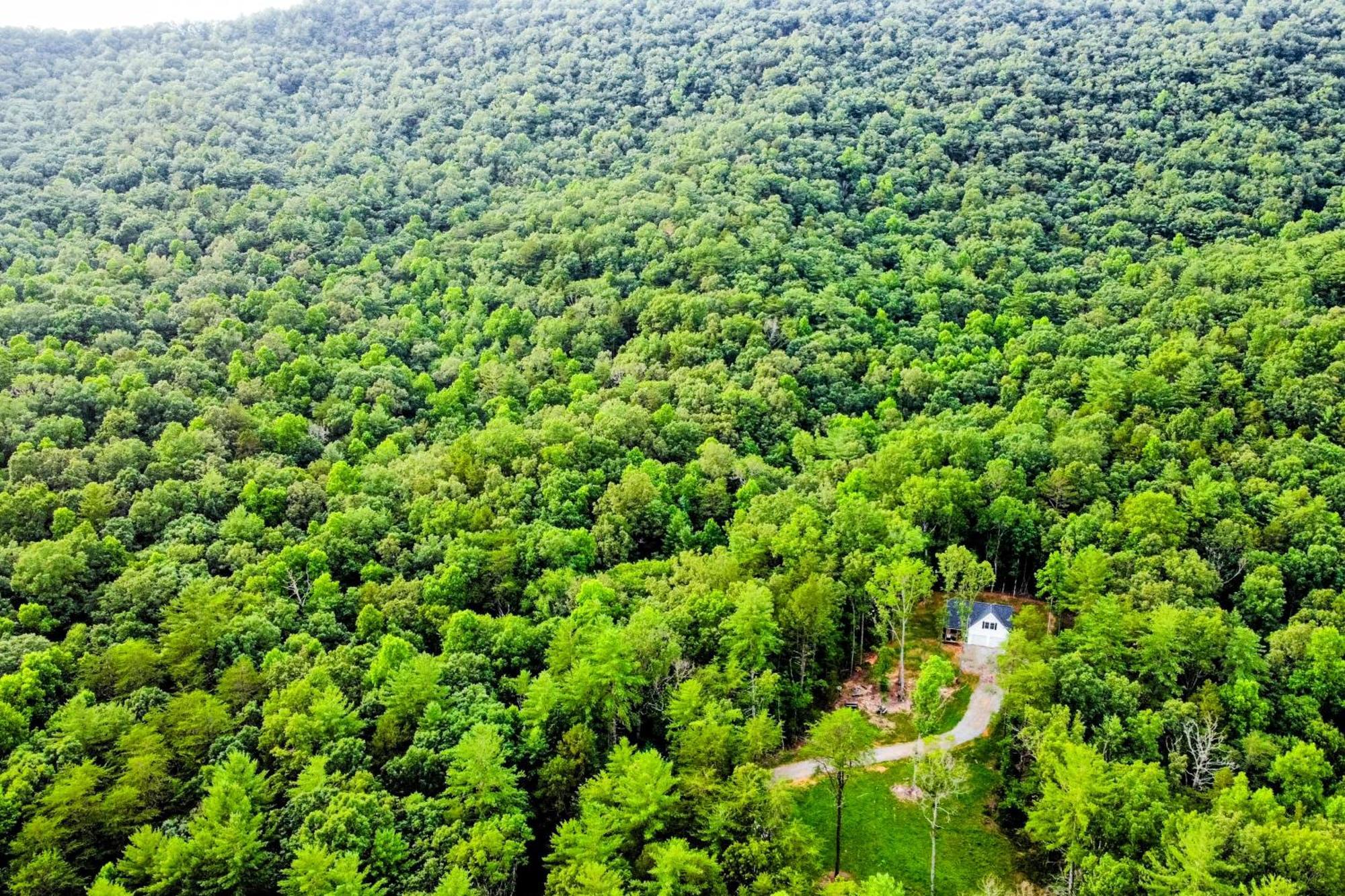 White Owl Cottage Блэрсвилл Экстерьер фото